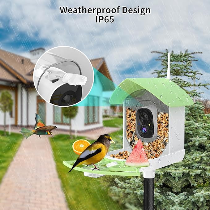 Bird Feeder with Camera,Smart AI Birds Breed Recognition,Birds Motion Detection with Real-Time Notice,Auto Capture Bird Watching WiFi Camera,Solar-Powered Outdoor Charging Bird House,Ideal Gifts,Green