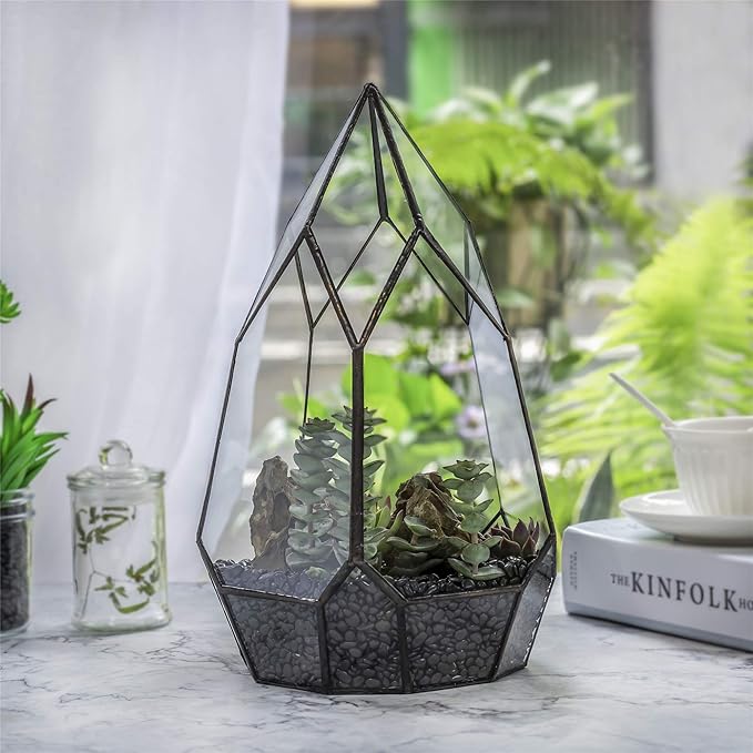 NCYP Modern Tabletop Black Glass Geometric Terrarium Container - Balcony Planter DIY Display Flower Pot for Succulent Fern - Miniature Botanical Fairy Garden, Large (No Plants, No Door)