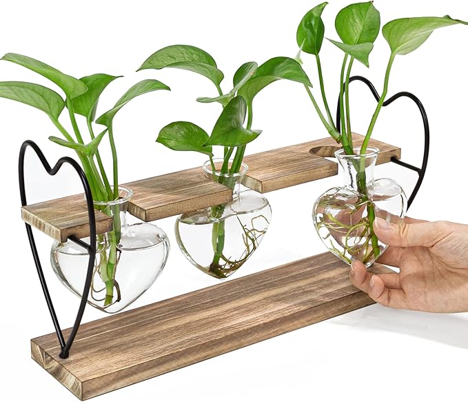 takfot Plant Propagation Station with Wood Stand, Terrarium Tabletop Glass Planter for Hydroponics Air Plants Home Decor, Plant Holder Lover for Mother Family Women 3 Heart Shaped Vase