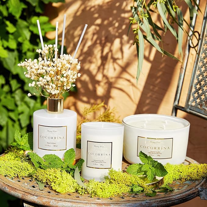 Cocorrína Premium Reed Diffuser Set with Preserved Baby's Breath & Cotton Stick Coconut Lime | 6.7oz Scent Fragrance Oil Diffuser for Bedroom Bathroom Home Décor