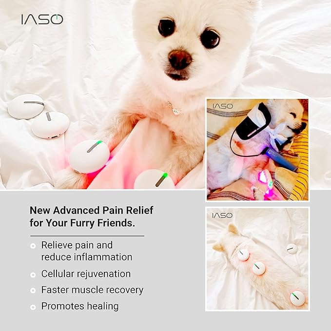 Iaso] Red Light Therapy Device and Massager- FDA-Registered, Cold Laser (Non-LED) Pain Relief for Back, Foot, Neck, Shoulders, Wrists, Knees. Wearable & Rechargeable. All Inclusive Package (Quad)