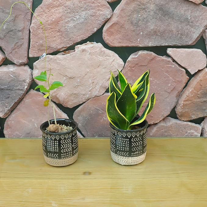 TAMAYKIM 2.75 Inch Mini Ceramic Succulent Plant Pots, Black Indoor Small Planter, Retro Elements Planter Pots with Saucer & Drainage Hole, for Cactus, Small Plants, Set of 6 (Plant Not Included)