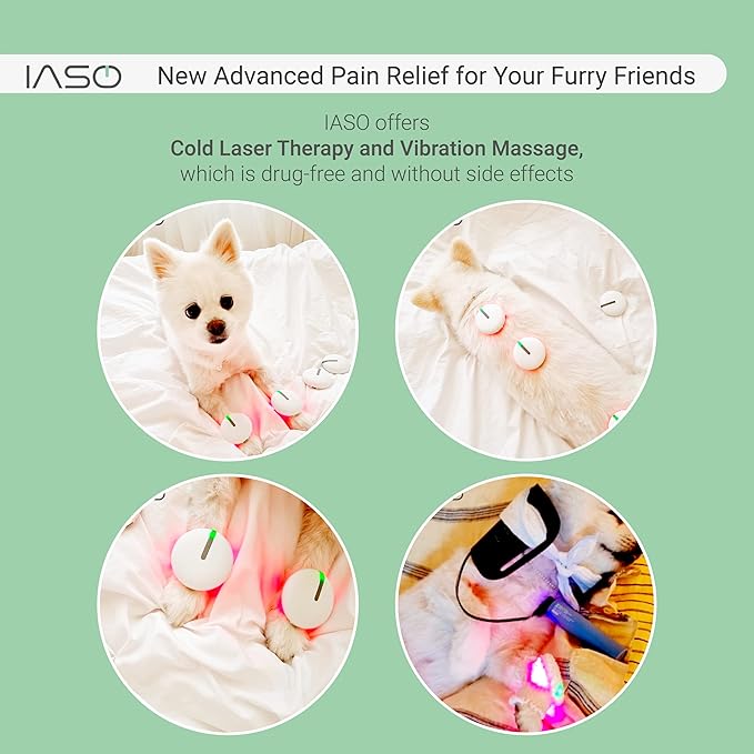 Iaso] Red Light Therapy Device and Massager- FDA-Registered, Cold Laser (Non-LED) Pain Relief for Back, Foot, Neck, Shoulders, Wrists, Knees. Wearable & Rechargeable. All Inclusive Package (Quad)