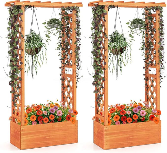 MAT EXPERT Raised Garden Bed with Trellis & Hanging Roof, Lattice Panel with Drainage Hole for Flower, Climbing Plant, Herb, Planter Box for Garden, Patio, Yard (2, 31" L x 14" W x 60" H)