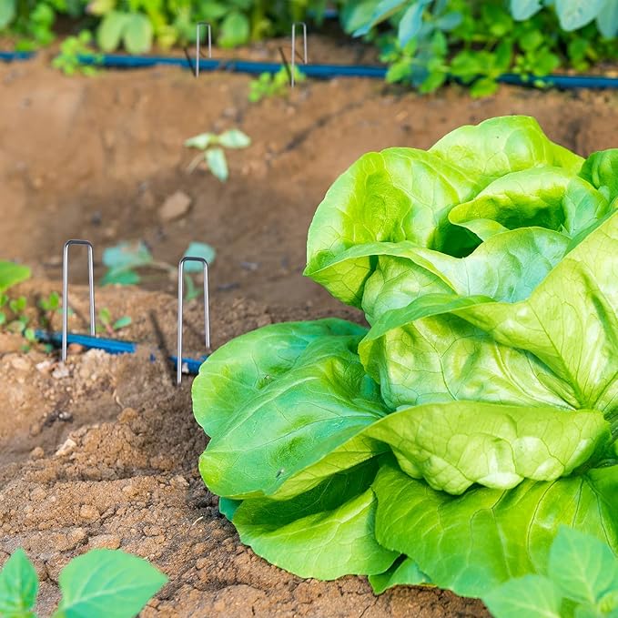 Finderomend 100 Pack Landscape Staples, 8" 11 Gauge Galvanized Steel Garden Stakes,Landscape Pins Turf Staples for Securing Weed Barrier Artificial Grass