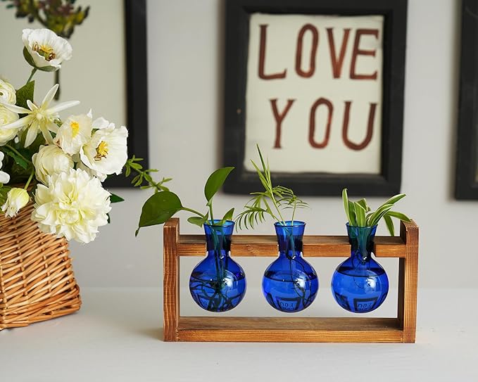 Kingbuy Glass Plant Terrarium Propagation Station - 3 Bulb Colored Vases with Retro Wood Stand Indoor Garden Planter - Wall Mounted & Desktop Decor for Home Kitchen Wedding, Gift for Plant Lover, Blue
