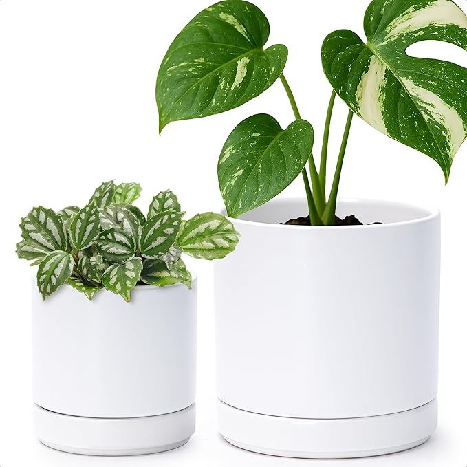 D'vine Dev 4.7 Inch & 6.5 Inch Ceramic Planter Pots for Plants with Drainage Hole and Saucer, Small Plant Pots Set, White, 94-G-S-1