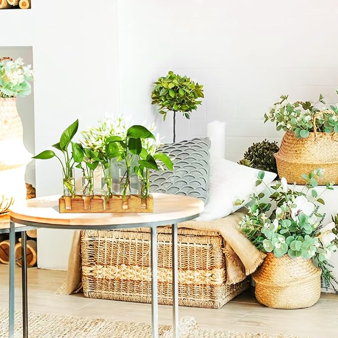Plant Propagation Station, Plant Terrarium with Wooden Stand, Plant Pots for Hydroponics, Small Birthday Gardening Gifts for Women Mom Plant Lovers Unique - 5 Glass Test Tubes Vases