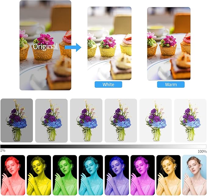 LUXCEO Handheld Light Wand, Multicolor RGB LED Video Light for Photography, 2000mAh Rechargeable Mini Light Stick for Video Shooting Professional Tube Lights with Magnetic for YouTube, TikTok(Black)