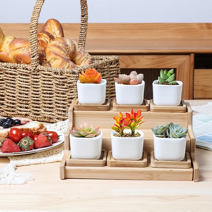 T4U 2 Inch Small White Succulent Planter Pots with Bamboo Tray Square Set of 6, Ceramic Flower Pots Cactus Air PlantContainers,Succulent Plant Gifts for Women Coworker, Modern Home and Office Decor