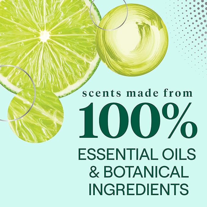 Seventh Generation Dish Soap Fresh Lime & Ginger Scent 1 count Dishwashing Soap Dish Detergent Liquid Soap 19 oz