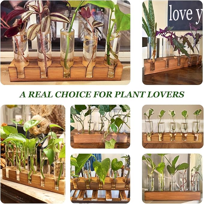 Plant Propagation Station, Plant Terrarium with Wooden Stand, Plant Pots for Hydroponics, Small Birthday Gardening Gifts for Women Mom Plant Lovers Unique - 5 Glass Test Tubes Vases