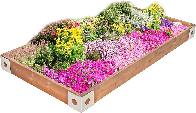 Red Cedar Wood Raised Vegetable Garden Bed - Amish Made in USA (5.5" Raised Bed with Decorative Corners, Cedar Stain)