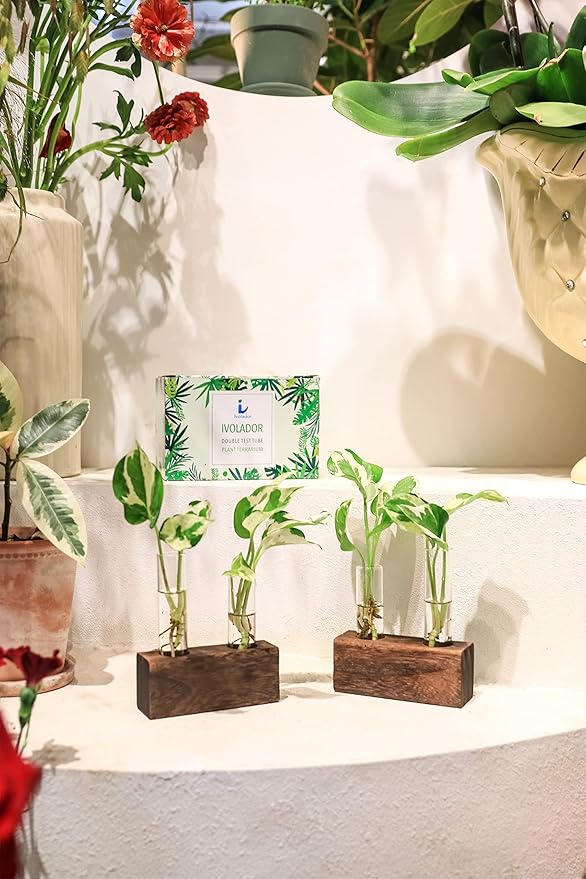 Ivolador Plant Propagation Stations 4 Test Tube Plants Terrariums in Wooden Stand Gifts for Plant Lovers for Hydroponic Plants Office Home Decor Hydroponic Vase Gift Box 2 Sets