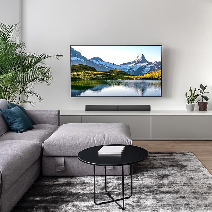 Wohome 2.2 Sound Bar for TV with Built-in Subwoofers, 32 Inches Detachable Soundbar Speaker, Bluetooth 5.3/Optical/AUX/USB Connection (Black)