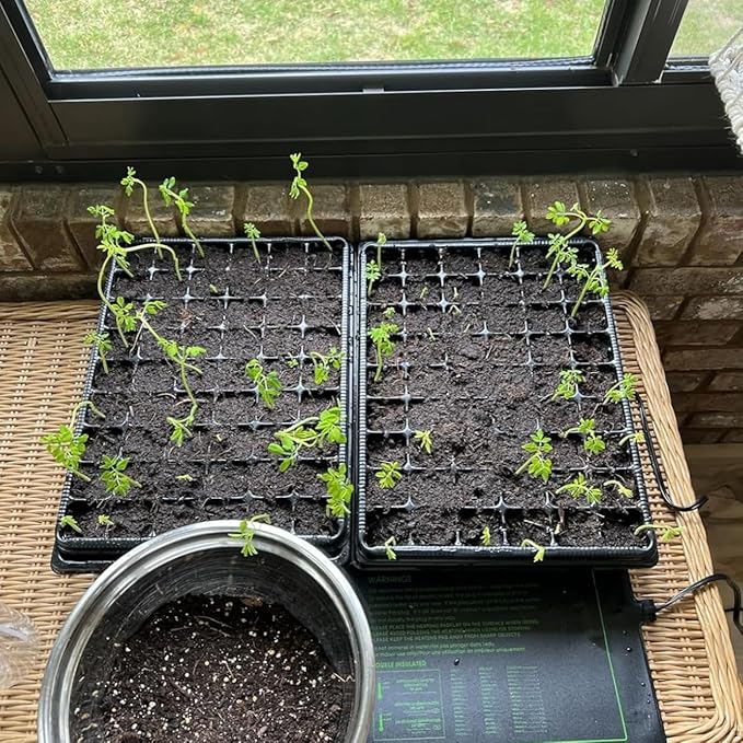 Heavy Duty Seed Starter Trays with 5'' Tall Humidity Domes & 2.75'' Deep Cells – 3-Pack (162 Cells Total) Reusable Plant Germination Kit, Durable Plastic Seedling Trays for Herbs, Vegetables