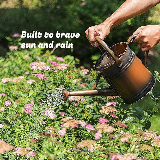 1 Gallon Watering Can for Plants, Watering Cans for Indoor&Outdoor Gardening, Galvanized Steel Watering Pot with Removable Spout, Metal Water Can with Ergonomic Movable Handle(Copper)
