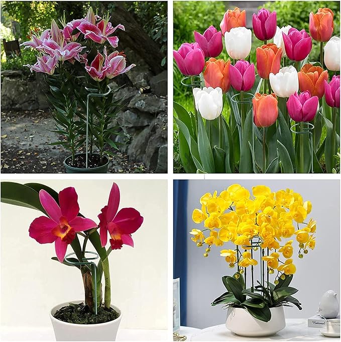 Joyhalo 20 Pack Plant Stakes, 16 Inch Plant Support Stakes, Flower Stakes with 24 Twist Ties, Garden Sticks for Plants Hibiscus, Sunflower, Red Hot Poker, Hydrangea, Tomato, Sapling Etc