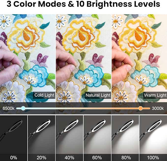 Ring Light with Overhead Camera Mount, 10W Ring Light with Desk Clamp, Phone Holder for Video Recording, Ideal for Artist/Painting/Jewelry Making/Knitting/Crochet/Embroidery/Pottery/Leather Crafting