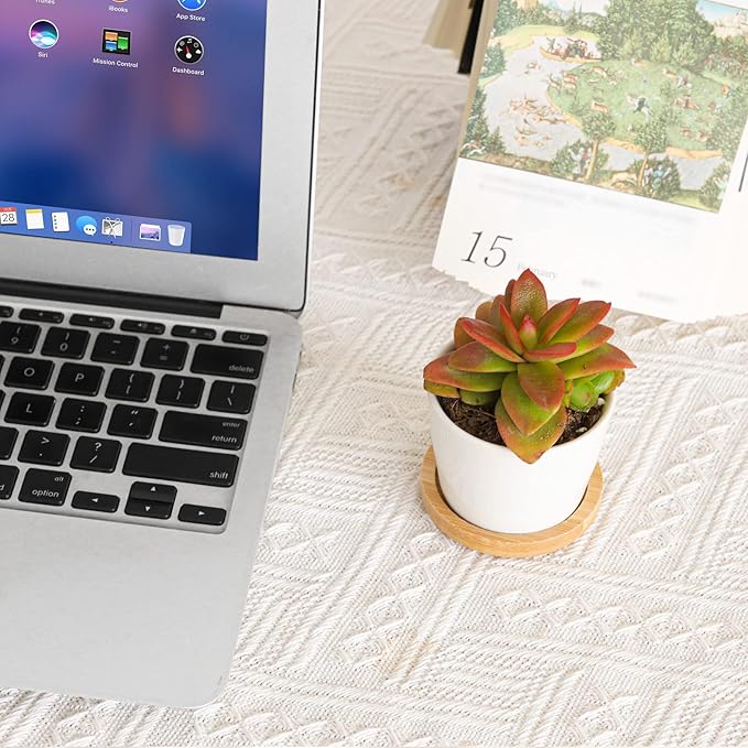 T4U 2.5 Inch Mini White Succulent Planter Pots with Bamboo Tray Round Set of 6, Tiny Ceramic Succulent Air Plant Flower Pots Cactus Faux Plants Containers, Gifts for Plant Lover, Home and Office Decor