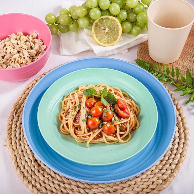 LIYH 48 Pcs Wheat Straw Dinnerware Plates and Bowls Set Dishwasher Safe Unbreakable Light Weight Plates Service for 12 Reusable Dinnerware Set Multicolor Set Dish Set