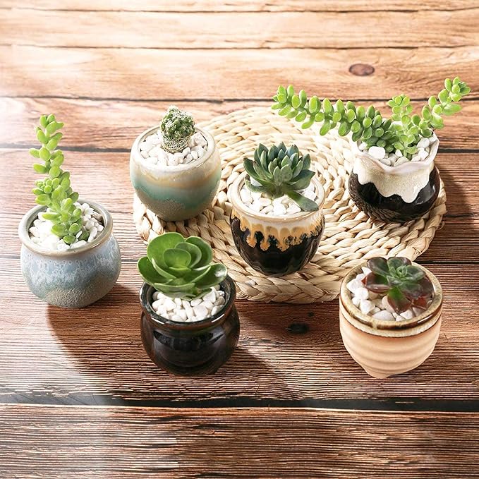 T4U Mini Ceramic Succulent Pots with Drainage - Set of 6, Tiny Pots for Plants, Home and Office Decor, Plant Lover Gifts for Women