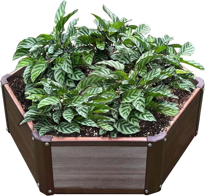 Hexagon Raised Garden Bed Kit, Single Unit, Single Layer, Planter Raised Garden Boxes for Vegetables, Flowers, Herbs and Succulents