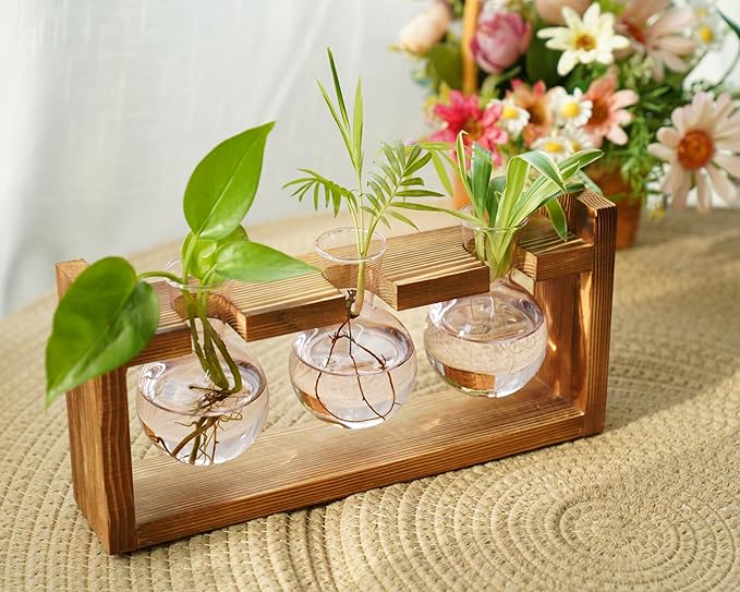 Kingbuy Glass Plant Terrarium Propagation Station - 3 Bulb Colored Vases with Retro Wood Stand Indoor Garden Planter - Wall Mounted & Desktop Decor for Home Kitchen Wedding, Gift for Plant Lover, Pink
