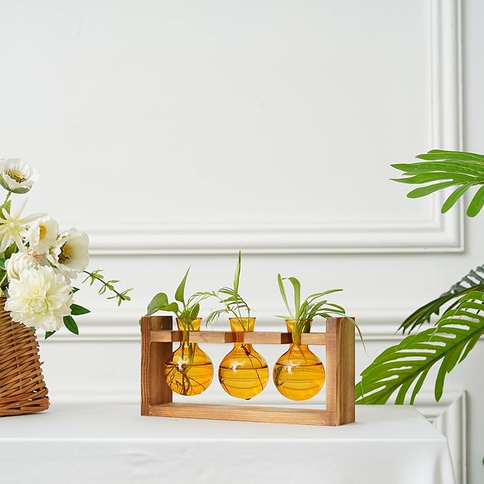 Kingbuy Glass Plant Terrarium Propagation Station - 3 Bulb Colored Vases with Retro Wood Stand Indoor Garden Planter - Wall Mounted & Desktop Decor for Home Kitchen Wedding, Plant Lover Gift, Amber