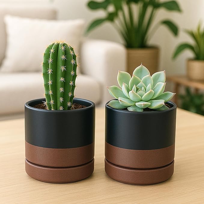 D'vine Dev Set of 2 Plants Pots, 4.7 Inch Ceramic Planter Pot for Plants with Drainage Hole and Saucer, Black/Speckled Tan, 94-V-B-7