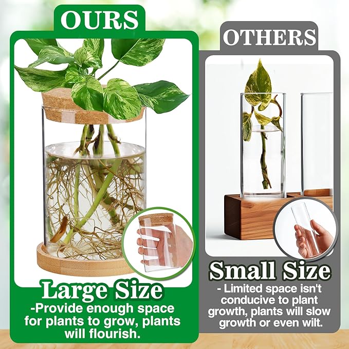 Biggun Plants Propagation Station - 2Pcs Desktop Plant Terrarium Glass Hydroponic Vases, Water Plant Jars, Gardening Gifts for Women Mom Plant Lovers (Thick Straight Shape, Separated Tray Style)