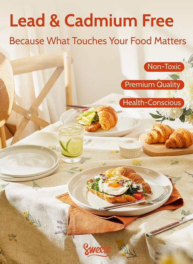 Sweese Porcelain Dinner Plates Set, 10 Inch, Round Salad Plates, Dove Gray - Dishwasher, Microwave Oven Safe