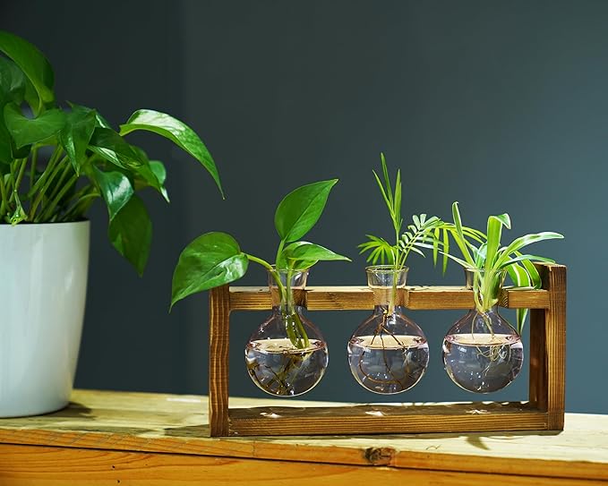 Kingbuy Glass Plant Terrarium Propagation Station - 3 Bulb Colored Vases with Retro Wood Stand Indoor Garden Planter - Wall Mounted & Desktop Decor for Home Kitchen Wedding, Gift for Plant Lover, Pink