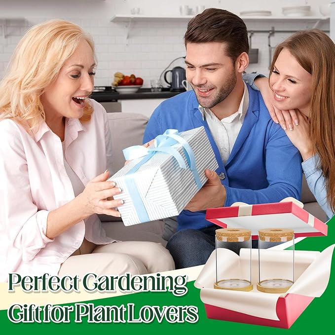 Biggun Plants Propagation Station - 2Pcs Desktop Plant Terrarium Glass Hydroponic Vases, Water Plant Jars, Gardening Gifts for Women Mom Plant Lovers (Thick Straight Shape, Separated Tray Style)