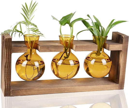 Kingbuy Glass Plant Terrarium Propagation Station - 3 Bulb Colored Vases with Retro Wood Stand Indoor Garden Planter - Wall Mounted & Desktop Decor for Home Kitchen Wedding, Plant Lover Gift, Amber