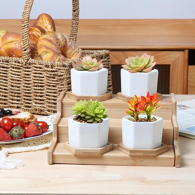 T4U Small White Succulent Planter Pots with Bamboo Tray Hexagon Set of 2, Geometric Ceramic Cactus Plant Holder, Succulent Plant Gifts for Gardener Women Coworker, Home Office Table Desk Decoration