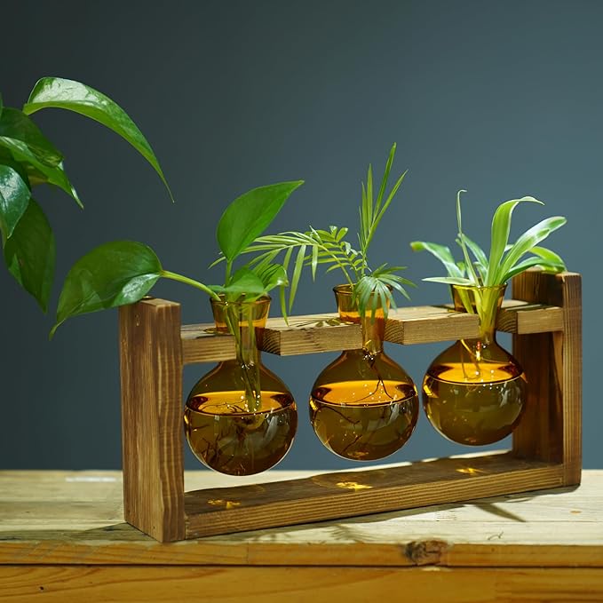 Kingbuy Glass Plant Terrarium Propagation Station - 3 Bulb Colored Vases with Retro Wood Stand Indoor Garden Planter - Wall Mounted & Desktop Decor for Home Kitchen Wedding, Plant Lover Gift, Amber