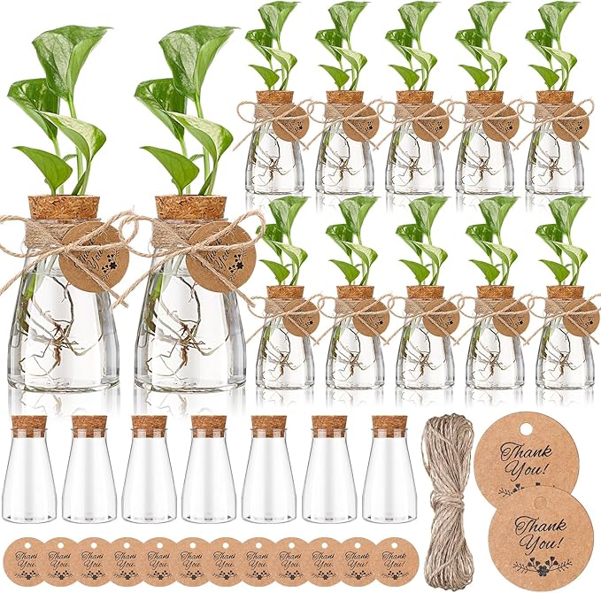 Baderke 24 Pack 3.35'' Plastic Plant Propagation Stations with Hole Lid Planter Vase Clear Propagation Jars with Thank You Tags for Plant Lover Gifts for Women Office Home Garden (Cute)