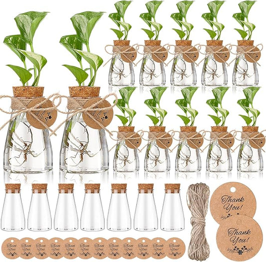 Baderke 24 Pack 3.35'' Plastic Plant Propagation Stations with Hole Lid Planter Vase Clear Propagation Jars with Thank You Tags for Plant Lover Gifts for Women Office Home Garden (Cute)