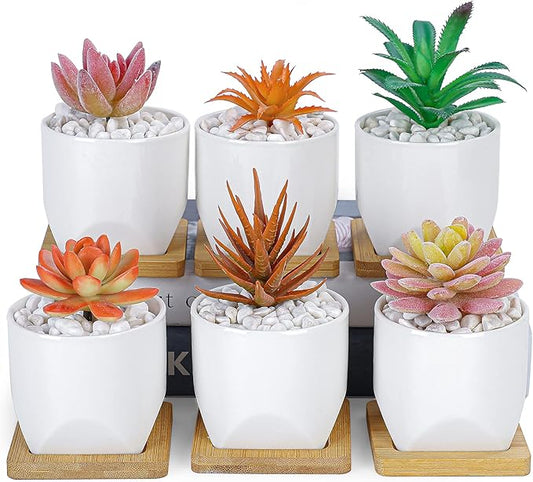 ARTKETTY Succulent Pots - 3 Inch Small Succulent Planter Pot with Drainage Trays Set of 6, Ceramic Planters for Indoor Plants Cactus Flower Plant for Home Office