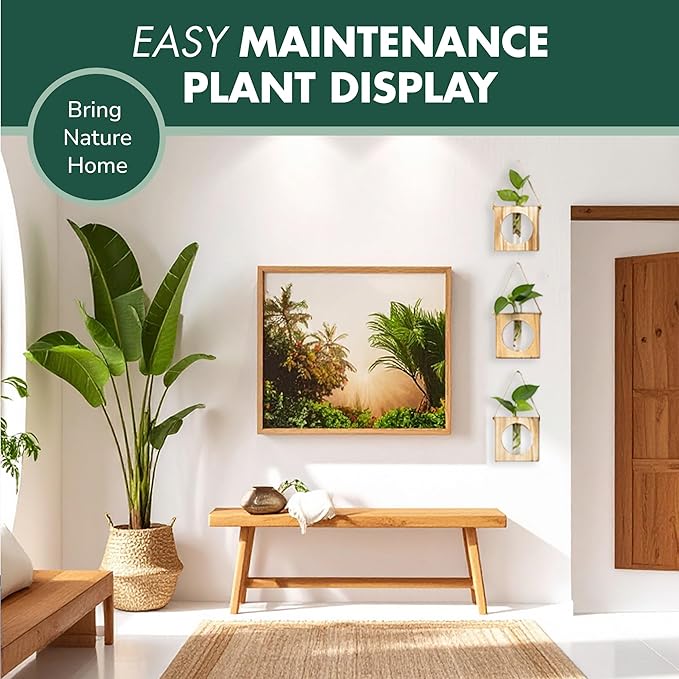 · GARDEN REPUBLIC · Propagation Stations Set of 3 - Propagation Vases for Plants - Hanging Wooden Wall Planter and Glass Test Tubes - Indoor Plant Holder, Hydroponic Decor