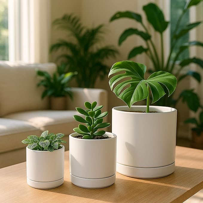 D'vine Dev 3 Inch & 4 Inch & 6 Inch, Set of 3 Round Ceramic Planter Pot with Drainage Hole and Saucer, White, 94-T-S-1