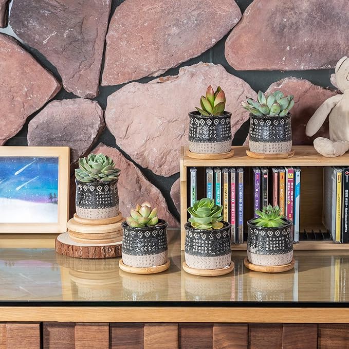 TAMAYKIM 2.75 Inch Mini Ceramic Succulent Plant Pots, Black Indoor Small Planter, Retro Elements Planter Pots with Saucer & Drainage Hole, for Cactus, Small Plants, Set of 6 (Plant Not Included)