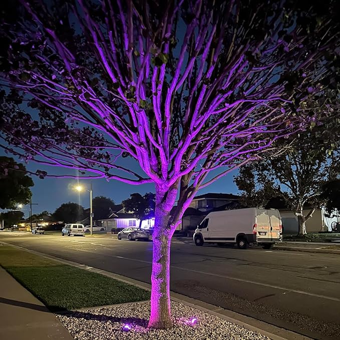 10 Pack Gel Light Filter- Colored Overlays Correction Lighting Filters,Transparent Color Film Plastic Sheets for Halloween Landscape Led Light or Reading (Purple)