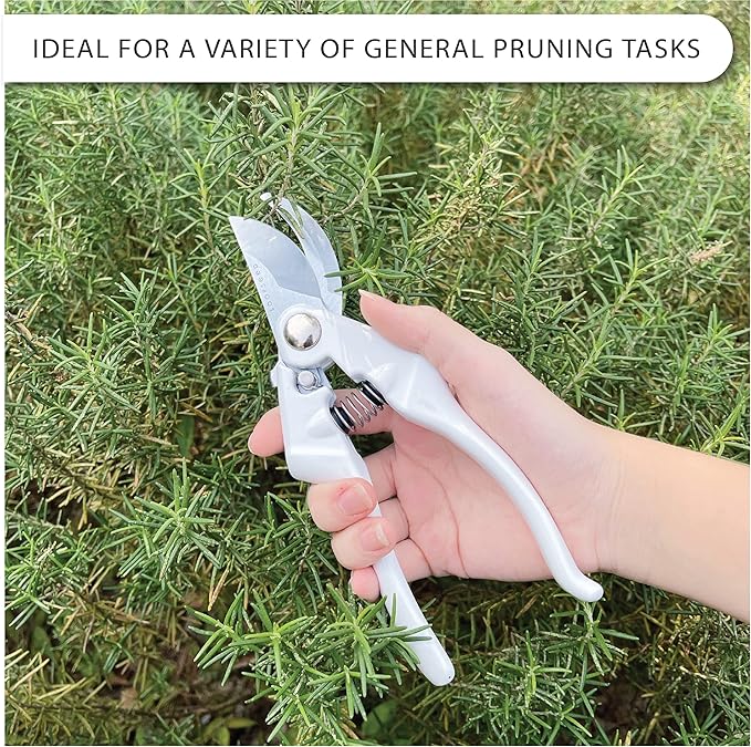 Bypass Pruning Shears Heavy Duty Hand Pruner Garden Trimming Scissors Plant Clippers Tree Trimmers Branch Cutters Modern Garden Tools