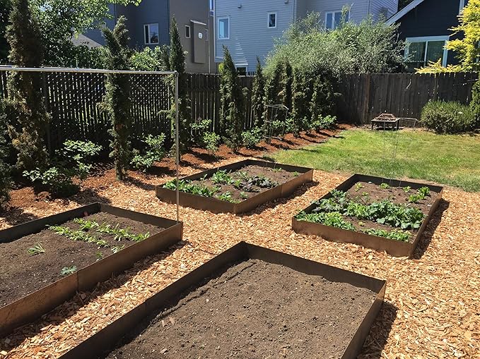 Raised Garden Bed Kit - COR-Ten Steel (14" COR-Ten Steel, 2 FT x 2 FT)