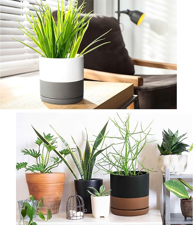 D'vine Dev Set of 2 Plants Pots, 6 Inch Ceramic Planter Pot for Plants with Drainage Hole and Saucer, White-Grey/Black-Tan, 94-V-C-C