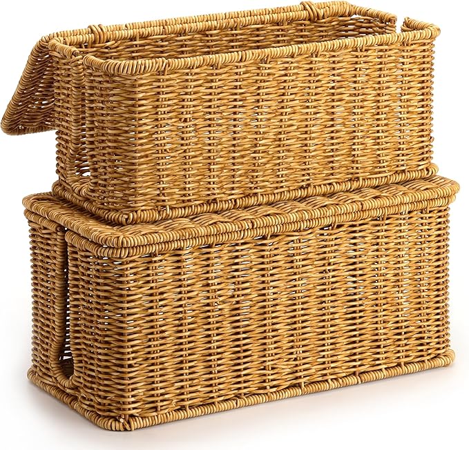 2Pack Large Cable Management Box, Handwoven Imitation Rattan Cord Organizer Cord Hider Box, Desk Wire Management to Hide Cords and Power Strips, Natural