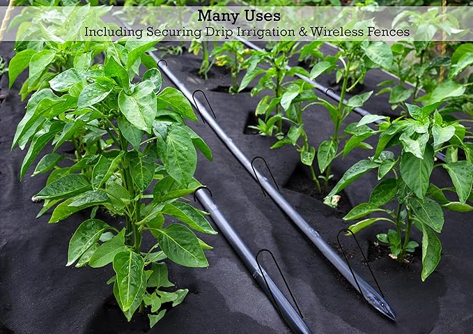 Sandbaggy Round Top 6-Inch Landscape Staples ~ SOD Garden Stakes Square Pin for Ground Cover Fabric & Drip Irrigation Tubing (100 Staples)