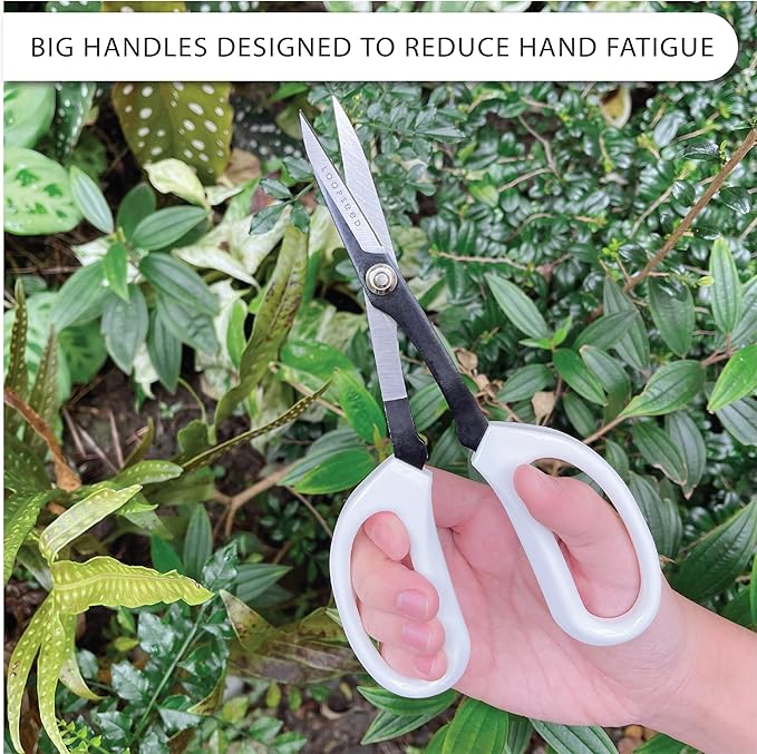 Precision Gardening Scissors Plant Trimming Pruning Shears Garden Pruners for Orchid Bonsai Hydroponic Flower Clipper Garden Snip 8 Inch Long